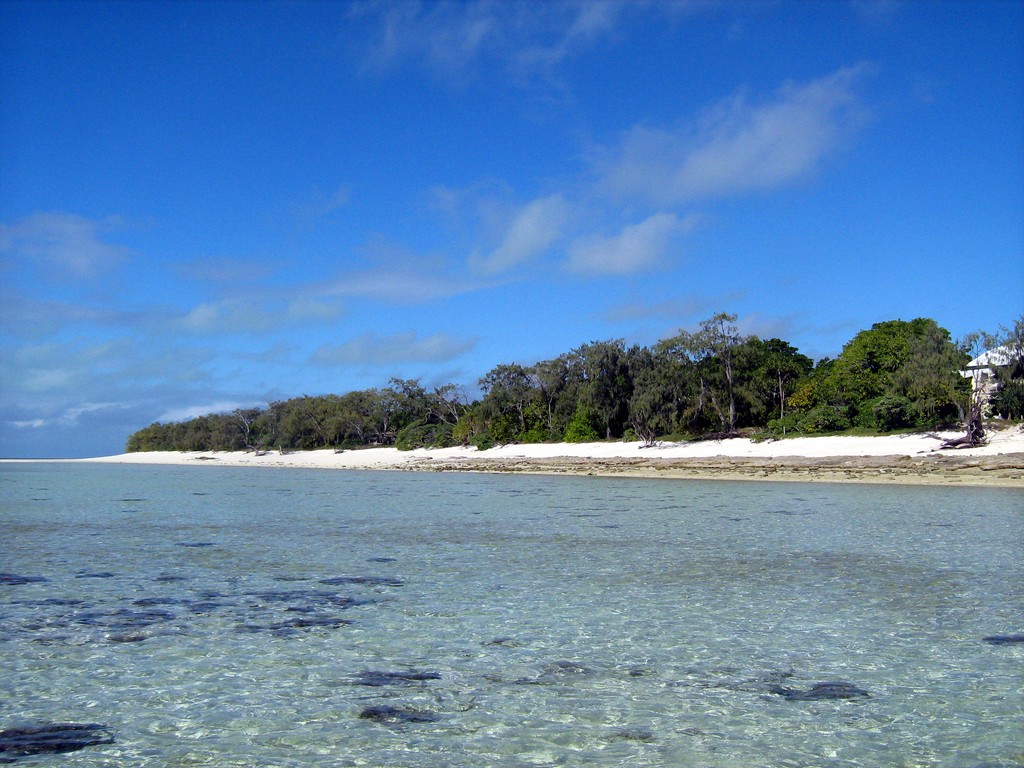 Reef & Marine Life